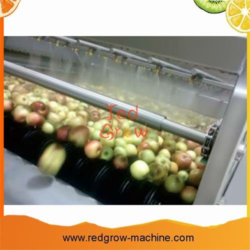 Apple Puree Processing Machine