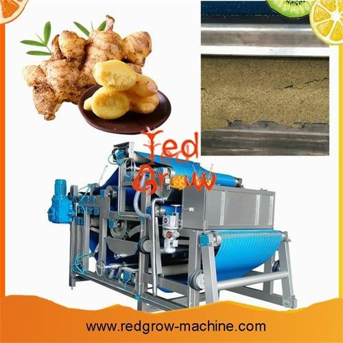Ginger Washing Machine