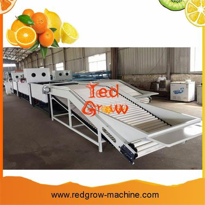Citrus Waxing Machine for Orange Citrus Apple and Other Fruits