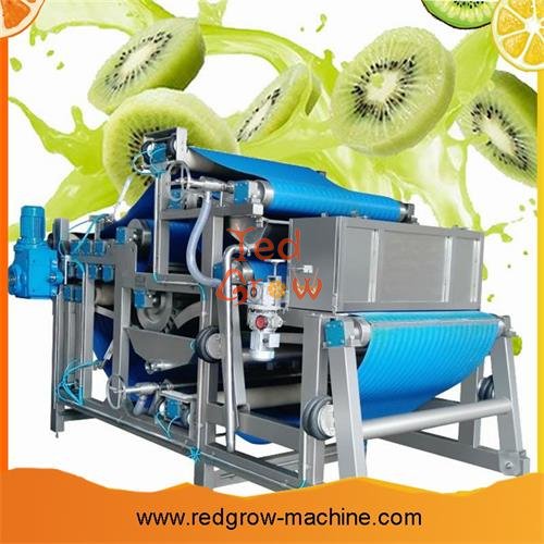 Kiwi Fruit Processing Machine