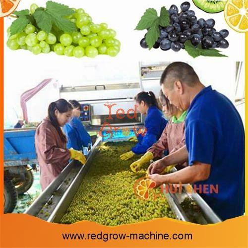 Belt Conveyor Machine for Fruit and Vegetable Processing Line