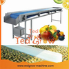 Belt Type Fruit Sorting Conveyor Machine