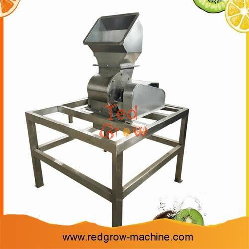 Kiwi Fruit Processing Machine
