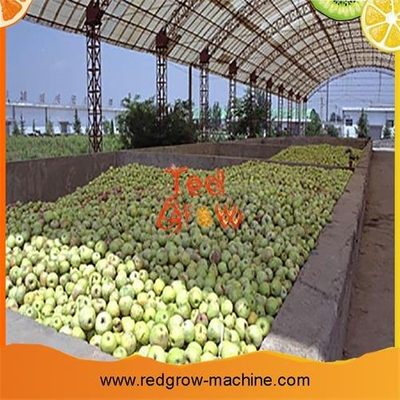 Pear Juice Production Machine