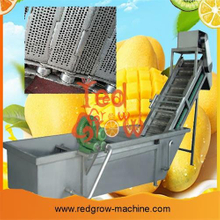 Mango Processing Machine