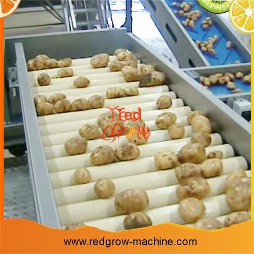 Belt Conveyor Machine for Fruit and Vegetable Processing Line