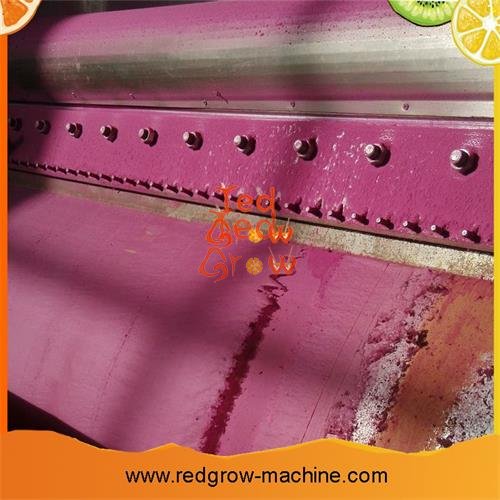 Pear Puree Processing Machine