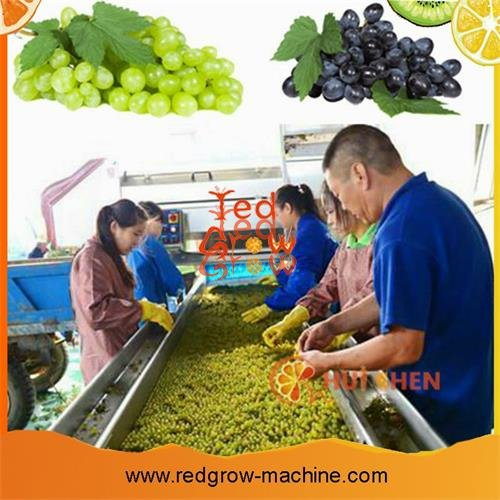Belt Type Fruit Sorting Conveyor Machine